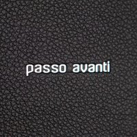 Сумка Passo Avanti 915-9067-BLK (черный) в Барановичах