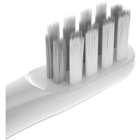 Ирригатор  Evolution WF-01 + Электрическая зубная щетка Enchen T501 (серый)