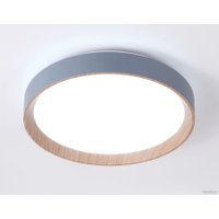 Светильник-тарелка Ambrella light Design FZ1320