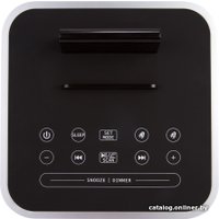 Настольные часы TeXet TRC-307 (черный)