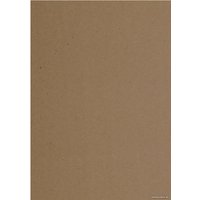 Набор бумаги для рисования BRAUBERG Art Classic 112487 (100 л)