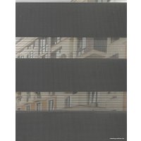 Шторы день-ночь Lm Decor ДН LB 11-10 48x160