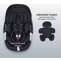 Детское автокресло Rant Aster Zero AY378 (черный)