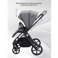 Универсальная коляска Rant Teo 2в1 RA120 (серый)