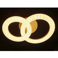 Припотолочная люстра Lusster SL-3418/1+1 WH