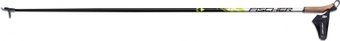 Лыжные палки Fischer RC3 Carbon Z41519 21/22 (155 см)