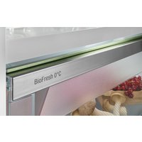 Холодильник Liebherr ICBSd 5122 Plus