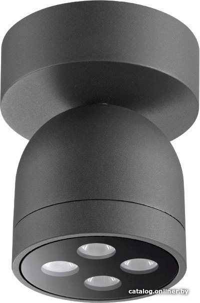 Уличный накладной светильник Novotech Galeati 358118