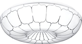 Припотолочная люстра Luminarte C01LLS36W