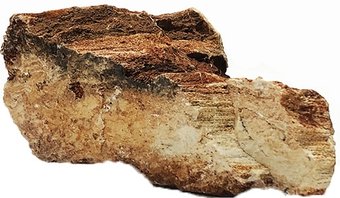 Natural Color Maple Leaf Rock XF40104