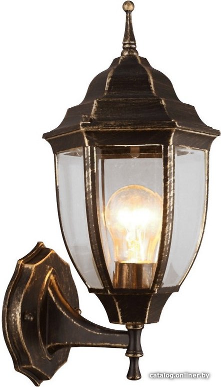 Уличный настенный светильник Arte Lamp Pegasus A3151AL-1BN