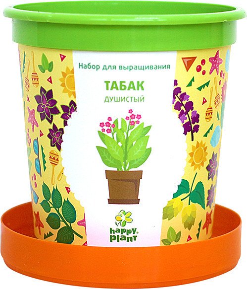 

Набор для опытов Happy plant Табак душистый hpn-11
