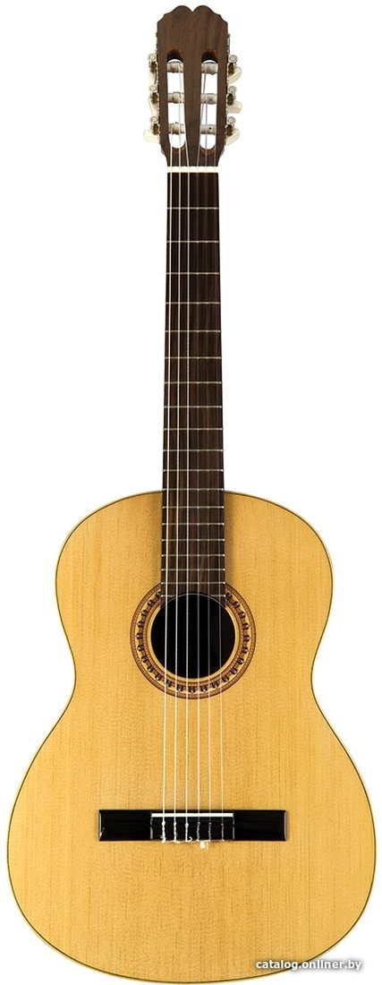 Акустическая гитара Manuel Rodriguez MR-MODEL-C10