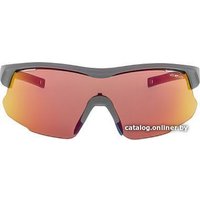 Солнцезащитные очки GOG E670-3 (серый матовый/синий)