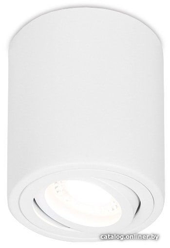 Спот Ambrella light TN225 WH
