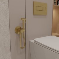 Гигиенический душ Oliveeka 829902 (золотой)