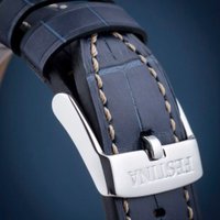 Наручные часы Festina F20636-2