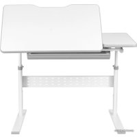 Парта Anatomica Dunga + надстройка + органайзер + подставка для книг с креслом Бюрократ KD-2 цвета оранжевый жираф (белый/серый)