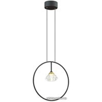 Подвесная люстра Odeon Light Arco 4100/1