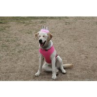 Шлейка-жилетка Puppia Soft Vest PAHA-AH305-PK-3L (розовый)