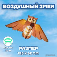 Воздушный змей Funny Toys Сова 3949829