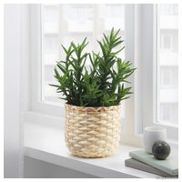 Кашпо Ikea Каффебона 404.236.20