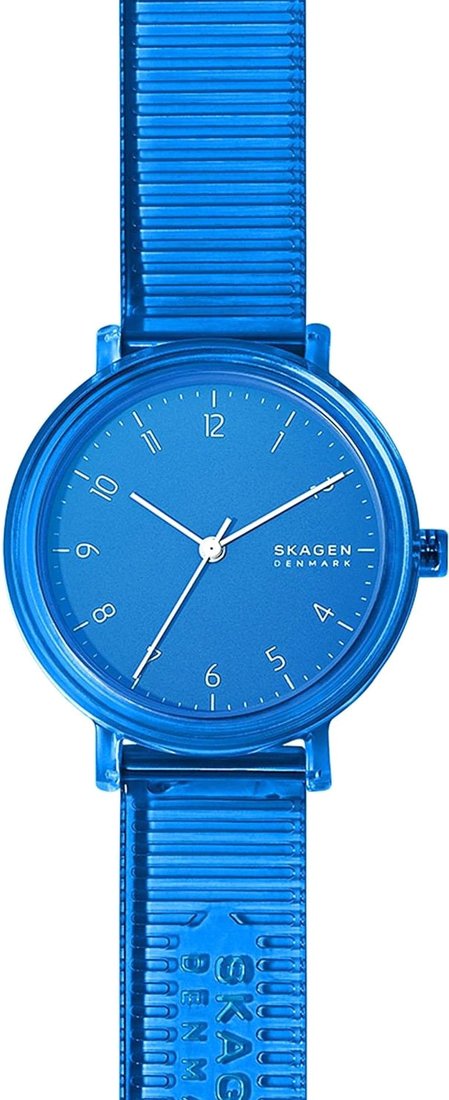 

Наручные часы Skagen SKW2855