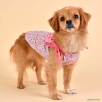 Футболка Puppia WildFlower PAUB-TS1806-PK-S (розовый)