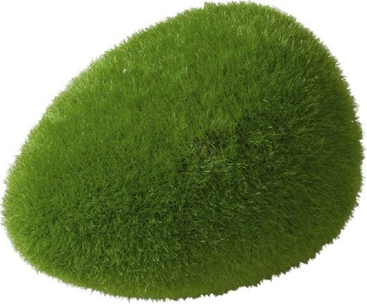 

Искусственное растение Aqua Della Moos Ball 234/426494