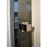 Душевая панель Leroy Titanium Black