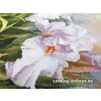 Набор для вышивания Алиса Белые ирисы 2-36