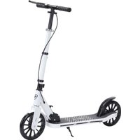 Двухколесный подростковый самокат Ricos Dart JSCT1 (белый)