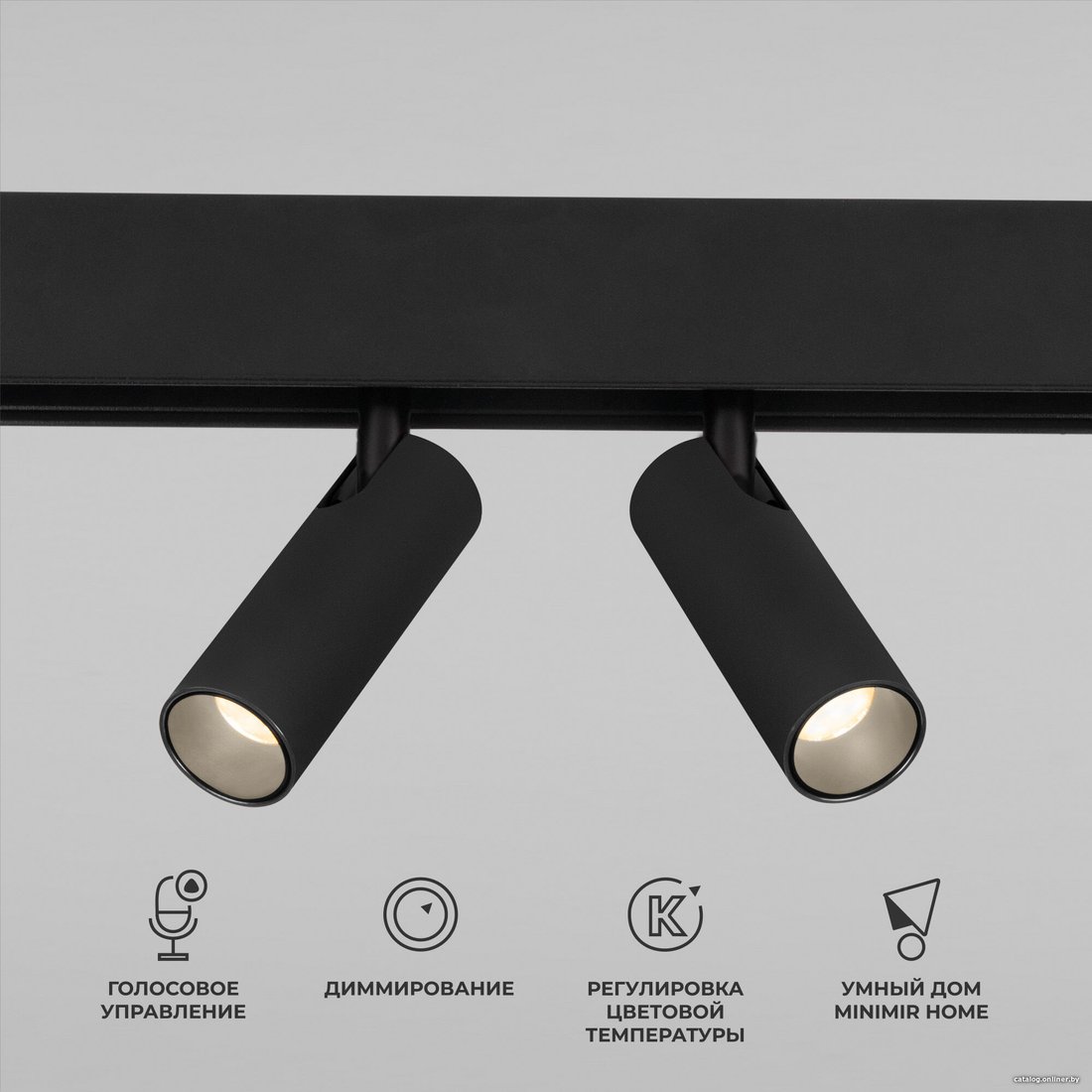 Точечный светильник Elektrostandard Slim Magnetic Dim Dual 85056/01 (черный)