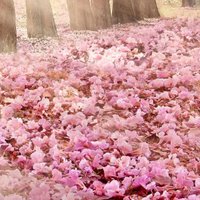 Фотообои Citydecor Сказочная природа 5 100x260