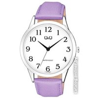 Наручные часы Q&Q Standard C10AJ028