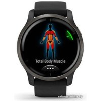 Умные часы Garmin Venu 2 (сланцевая нержавеющая сталь/черный)