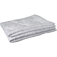 Одеяло Реноме Евро Поплин белый 14/033Б 200x220 (овечья шерсть, 400)