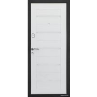 Металлическая дверь Титан Техно-3