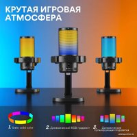 Проводной микрофон Maono DGM20 (черный)