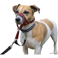 Недоуздок Halti Headcollar Size 1 (красный)