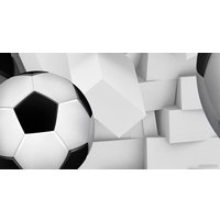 Фотообои ФабрикаФресок Футбольные мячи из стены 725270 (500x270)