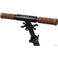 Двухколесный подростковый самокат Shulz 120 2022 (черный)