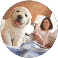 CD-R диск Verbatim 700Mb 52x 43756 (50 шт.)