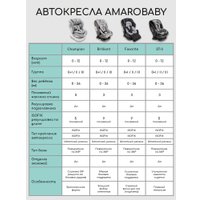 Детское автокресло Amarobaby Champion Isofix AMARO-2008CH-Gr (графит)