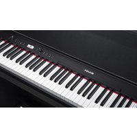 Цифровое пианино NUX NCK-330 (черный)