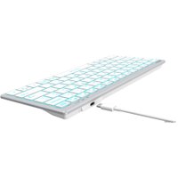 Клавиатура A4Tech Fstyler FX61 (серебристый/белый)