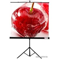 Проекционный экран ViewScreen Clamp 160x160