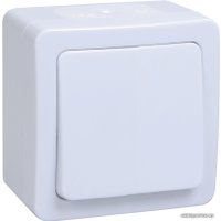 Выключатель IEK Гермес Plus ВС20-1-0-ГПБ