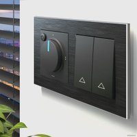 Терморегулятор Werkel W1151108 a051624 (черный матовый)