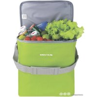 Термосумка БИОСТАЛЬ Кантри TCD-G 20л (зеленый лайм)